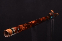 Honduran Rosewood Burl Native American Flute, Minor, Low Eb-4, #G20J